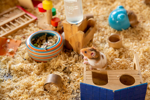 מבחר ציוד שאוגר צריך