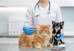 ���� ���� �� ���� �� ����� ���� �� ����� ���?